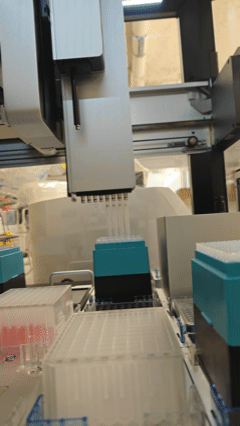 Untitled video - Made with Clipchamp (4)